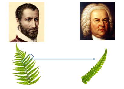 Palestrina Bach fern